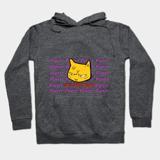 Pet Me Now! demanding kitty for cat lovers Hoodie